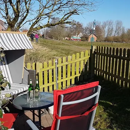 Brasse Apartament