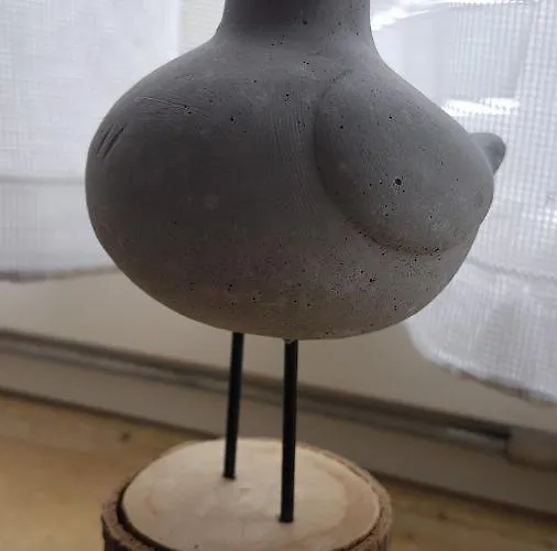 Brasse 公寓 多纳莫塞尔